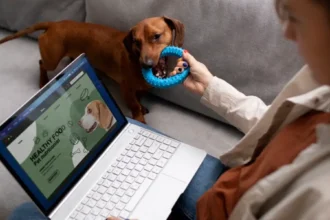 Everything You Need to Know Warmup Cache Request