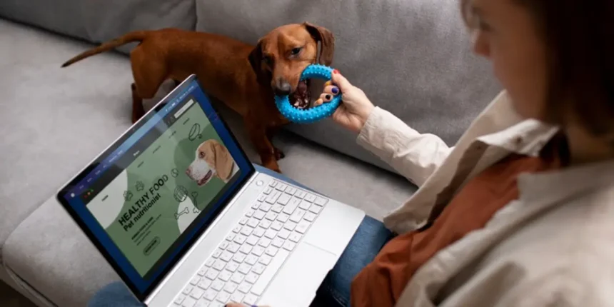 Everything You Need to Know Warmup Cache Request