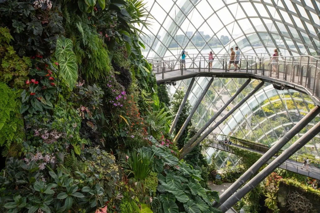 Why Greenery Matters: The Impact of Natural Spaces on Urban Life in Singapore