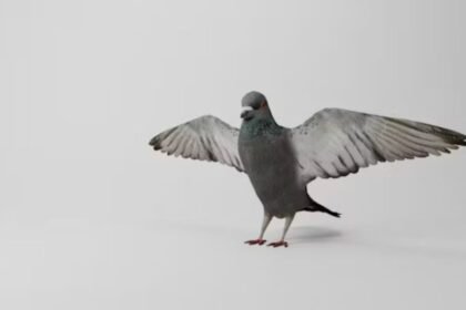 The Comprehensive Guide to Wincompanion