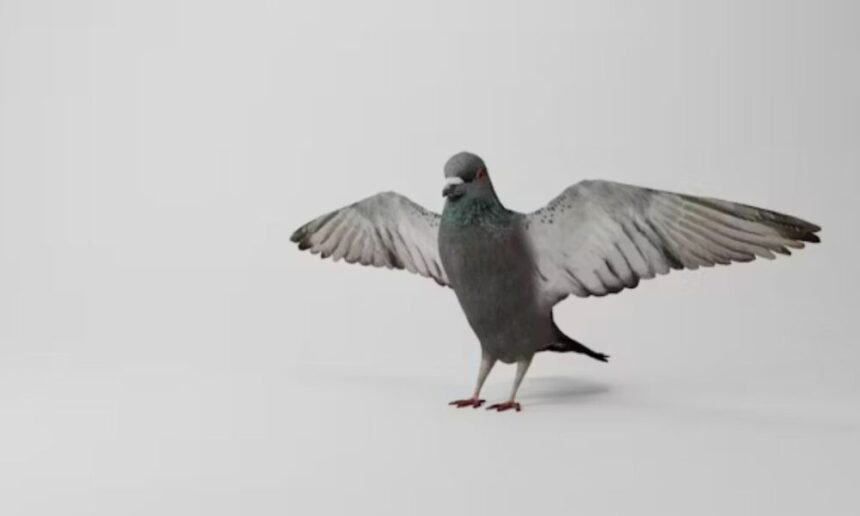 The Comprehensive Guide to Wincompanion