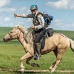 BK Horse: A Champion’s Journey Through Competition