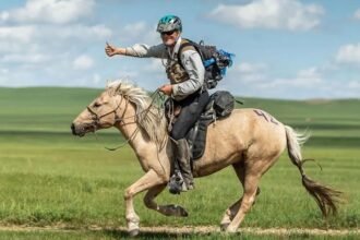 BK Horse: A Champion’s Journey Through Competition