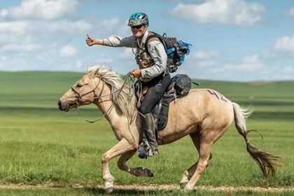 BK Horse: A Champion’s Journey Through Competition