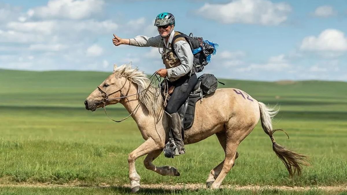 BK Horse: A Champion’s Journey Through Competition