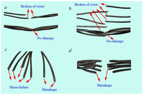 Can a Wire Ruin a Canvas? The Hidden Stress of Vector Forces