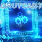 Everything You Need to Know mega nz/folder/jqvvhyjb