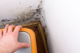 The Silent Threat: What Mold Can Do to Your Property