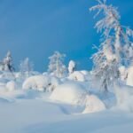 Unveiling the Enchantment: The Allure of Snowhiter in Winter Landscapes