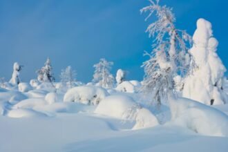 Unveiling the Enchantment: The Allure of Snowhiter in Winter Landscapes
