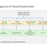 TSH w/Reflex to FT4 Testing for Thyroid Function