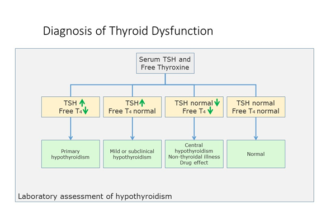 TSH w/Reflex to FT4 Testing for Thyroid Function
