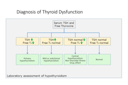 TSH w/Reflex to FT4 Testing for Thyroid Function