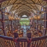 The Comprehensive Guide to Dvc Availability Tool