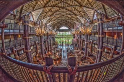 The Comprehensive Guide to Dvc Availability Tool