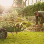Preparing Your Garden for Stormier UK Weather