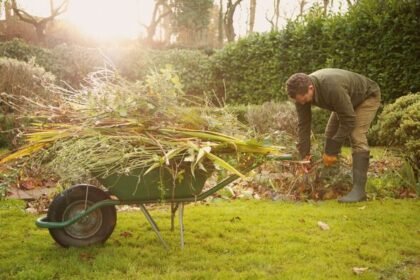 Preparing Your Garden for Stormier UK Weather