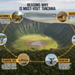 5 Reasons Why the Ngorongoro Crater is a Must-Visit Destination in Tanzania
