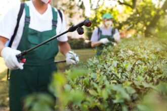 The 7 Best Pest Control Companies in Southern California for 2026