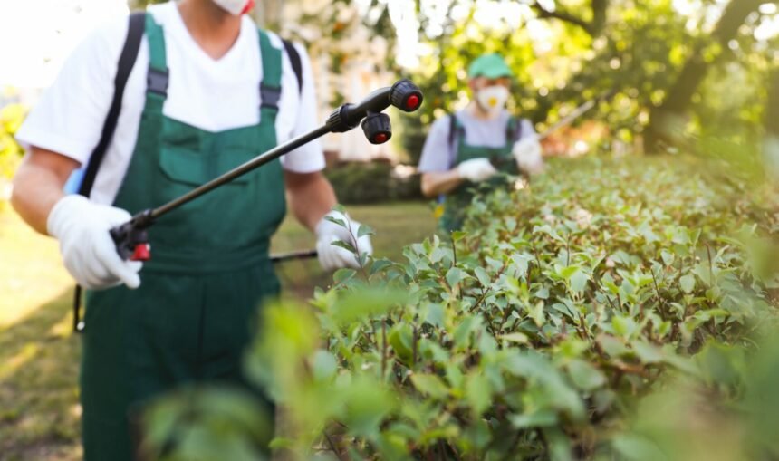 The 7 Best Pest Control Companies in Southern California for 2026