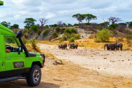The 7 Best Safari Tours Agency in Tanzania (2026 Guide)