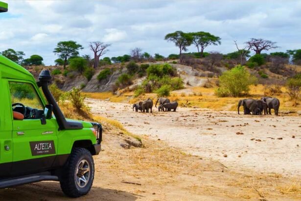 The 7 Best Safari Tours Agency in Tanzania (2026 Guide)