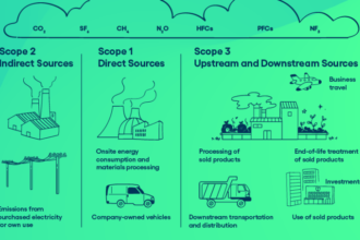 Simple Ways Businesses Can Reduce Their Environmental Footprint
