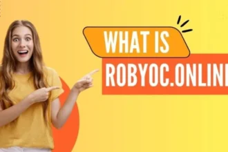 Robyoc.online: A Practical Guide to How It Really Works