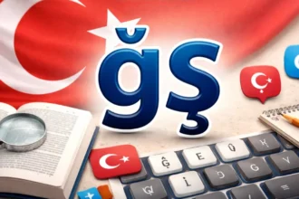 Everything You Need to Know ğş