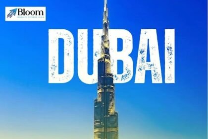 Best SEO Company in Dubai – Bloom Agency | Top SEO Services Dubai