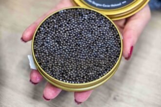 Caviar En Russie