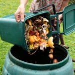 Why Composting at Home is the Ultimate Green Hack