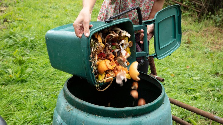 Why Composting at Home is the Ultimate Green Hack