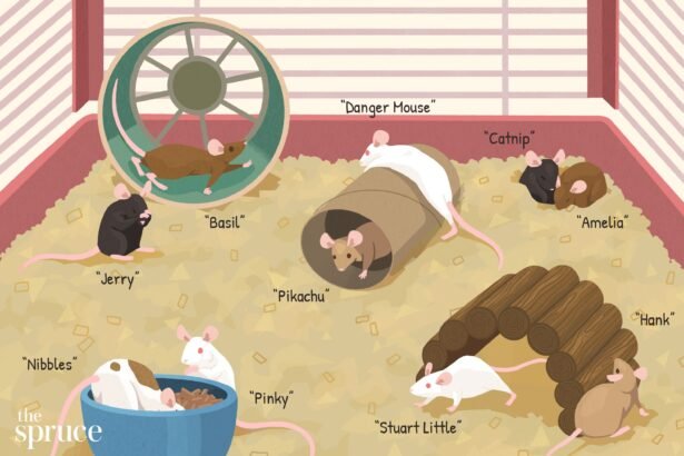 Everything You Need to Know Mouse Names