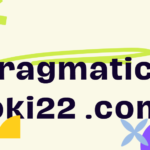 Pragmatichoki22 .com | Complete Information [2026]