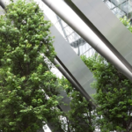 Establishing Effective Building Performance Standards for Sustainable Architecture