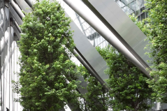 Establishing Effective Building Performance Standards for Sustainable Architecture