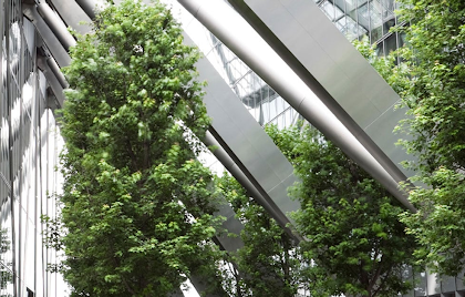 Establishing Effective Building Performance Standards for Sustainable Architecture