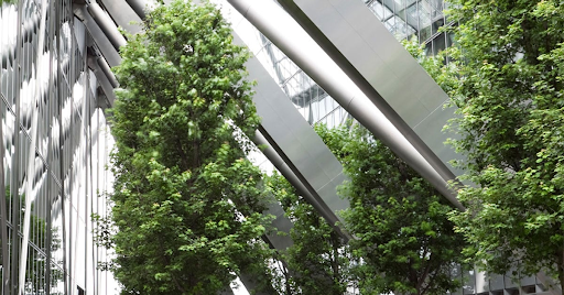 Establishing Effective Building Performance Standards for Sustainable Architecture