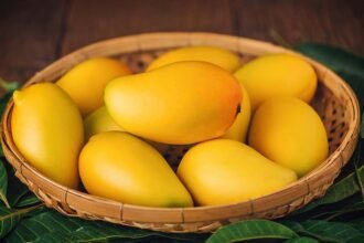 Alphonso Mangoes