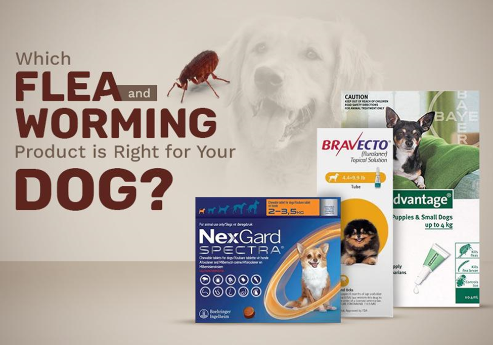 Which Flea and Worming Product is Right for Your Dog?