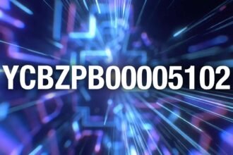 YCBZPB00005102 Meaning, Uses, and Where This Code Appears