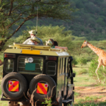 African Safari Tanzania: Serengeti Safari and Zanzibar Tour Travel Guide