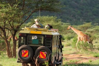 African Safari Tanzania: Serengeti Safari and Zanzibar Tour Travel Guide