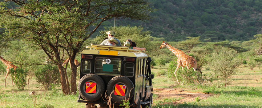 African Safari Tanzania: Serengeti Safari and Zanzibar Tour Travel Guide