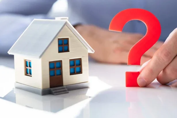 Everything You Need to Know Caveator Caveatee