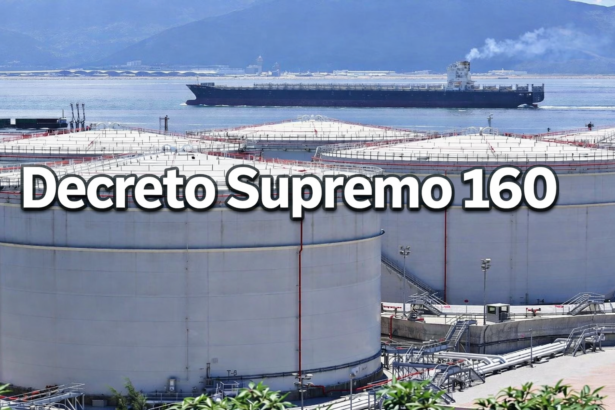 decreto supremo 160