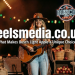 What Makes Busch Light Apple a Unique Choice?