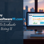SEO by Highsoftware99.com: What Businesses Should Evaluate Before Using It