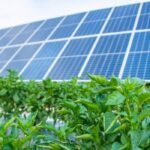 Solar Panels TEAS Passage: A Complete 2025 Guide for Students and Renewable Energy Learners